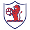 https://img.wwfwb.com/img/football/team/11fb72f7b5eacfc881ee11bac75871fa.png