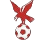 https://img.wwfwb.com/img/football/team/4802d26df935b78bb2fcdbbff36e8864.png